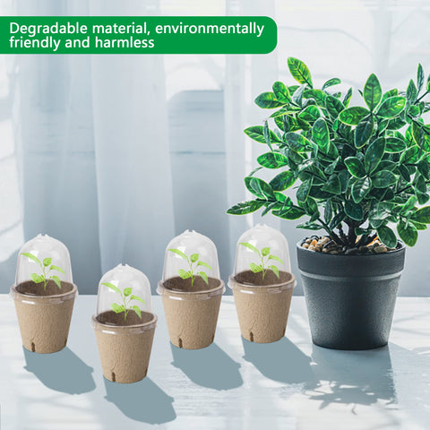 EBaokuup biodegradable peat pots dissolve into soil after planting.