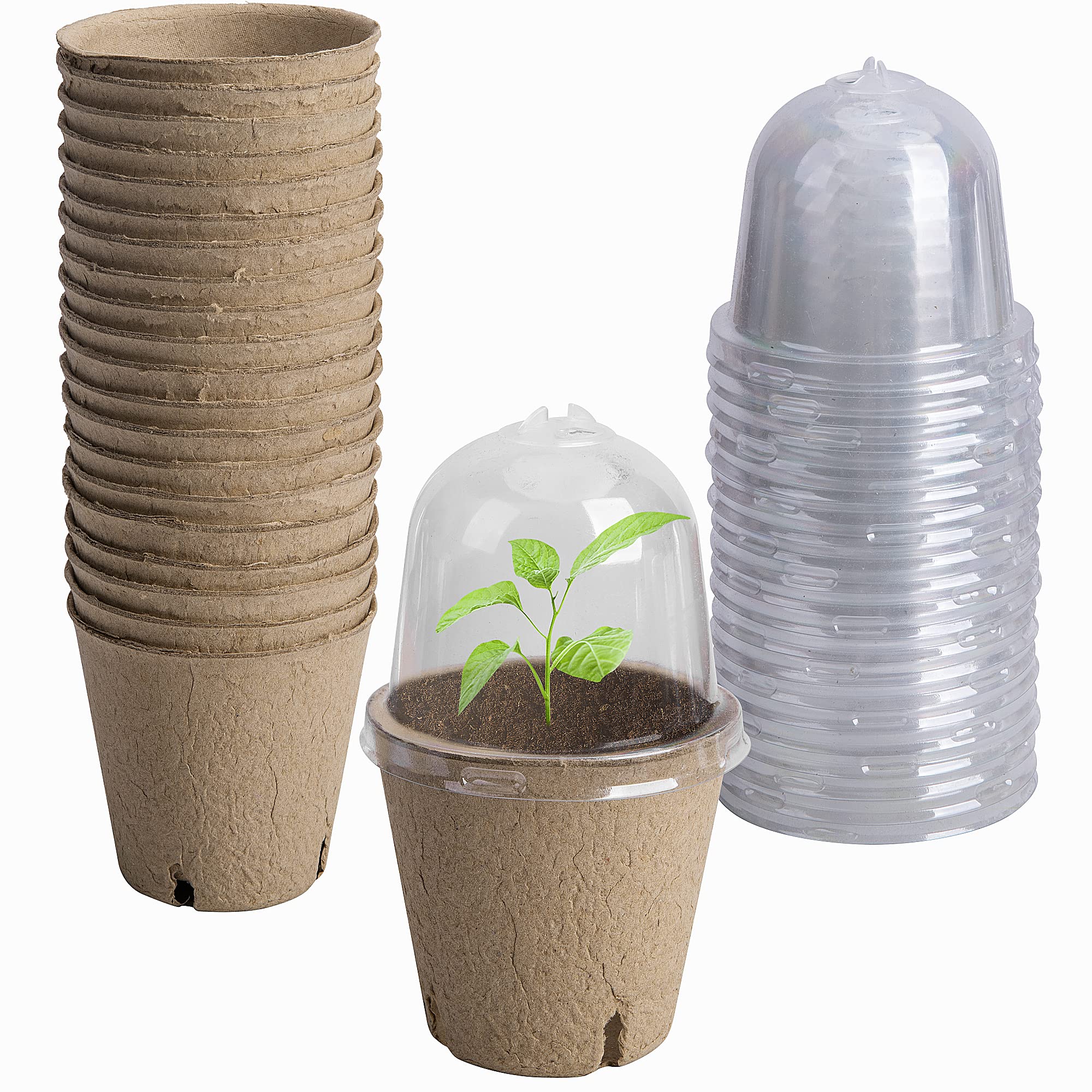 EBaokuup 20-piece biodegradable pots with humidity domes for seed starting.