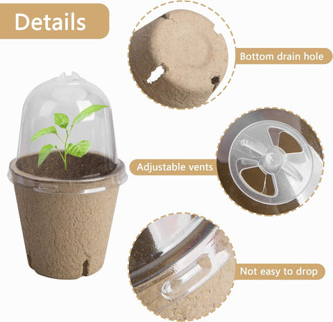 EBaokuup biodegradable pots pulp-based material for eco-friendly gardening.