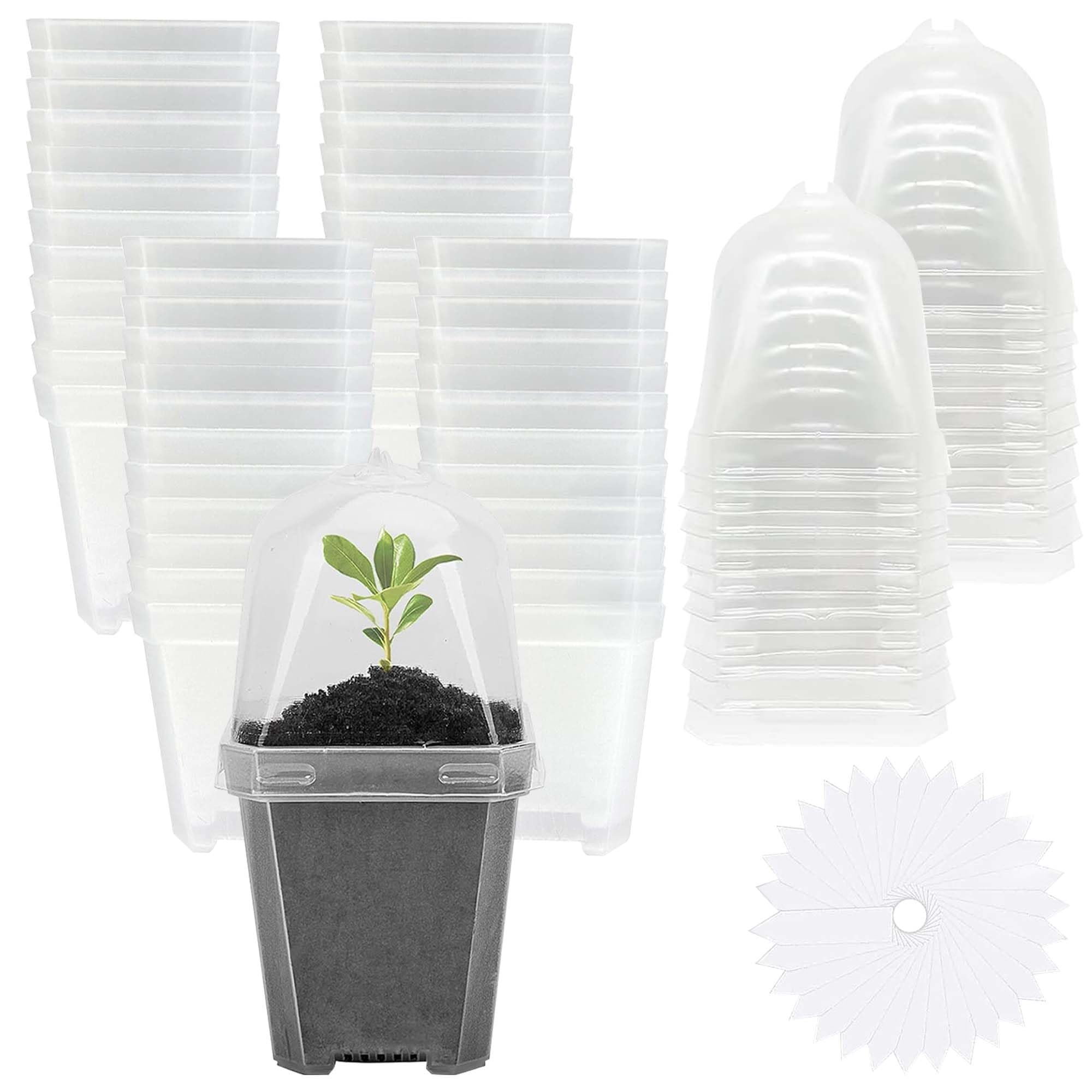 EBaokuup clear pot with humidity dome for seed starting and plant health