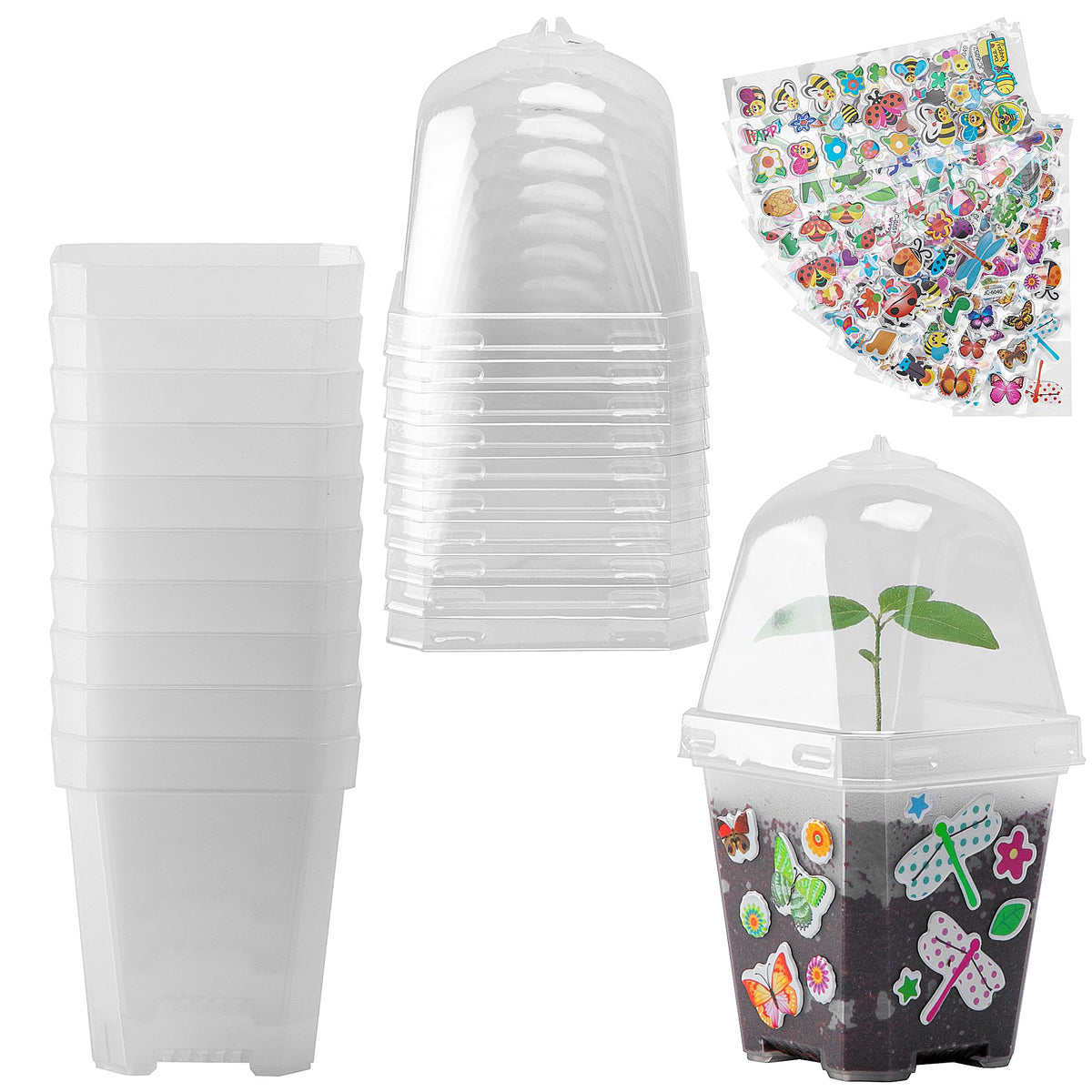 EBaokuup clear 3-inch pot with humidity dome for germination
