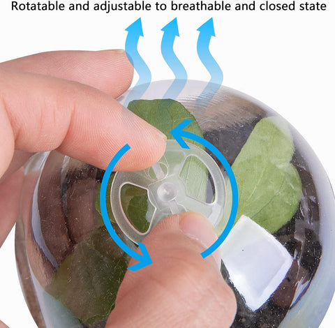EBaokuup drainage holes ensure balanced moisture and healthy roots.