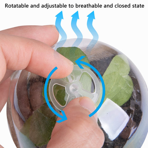 EBaokuup drainage holes promote airflow and healthy roots.