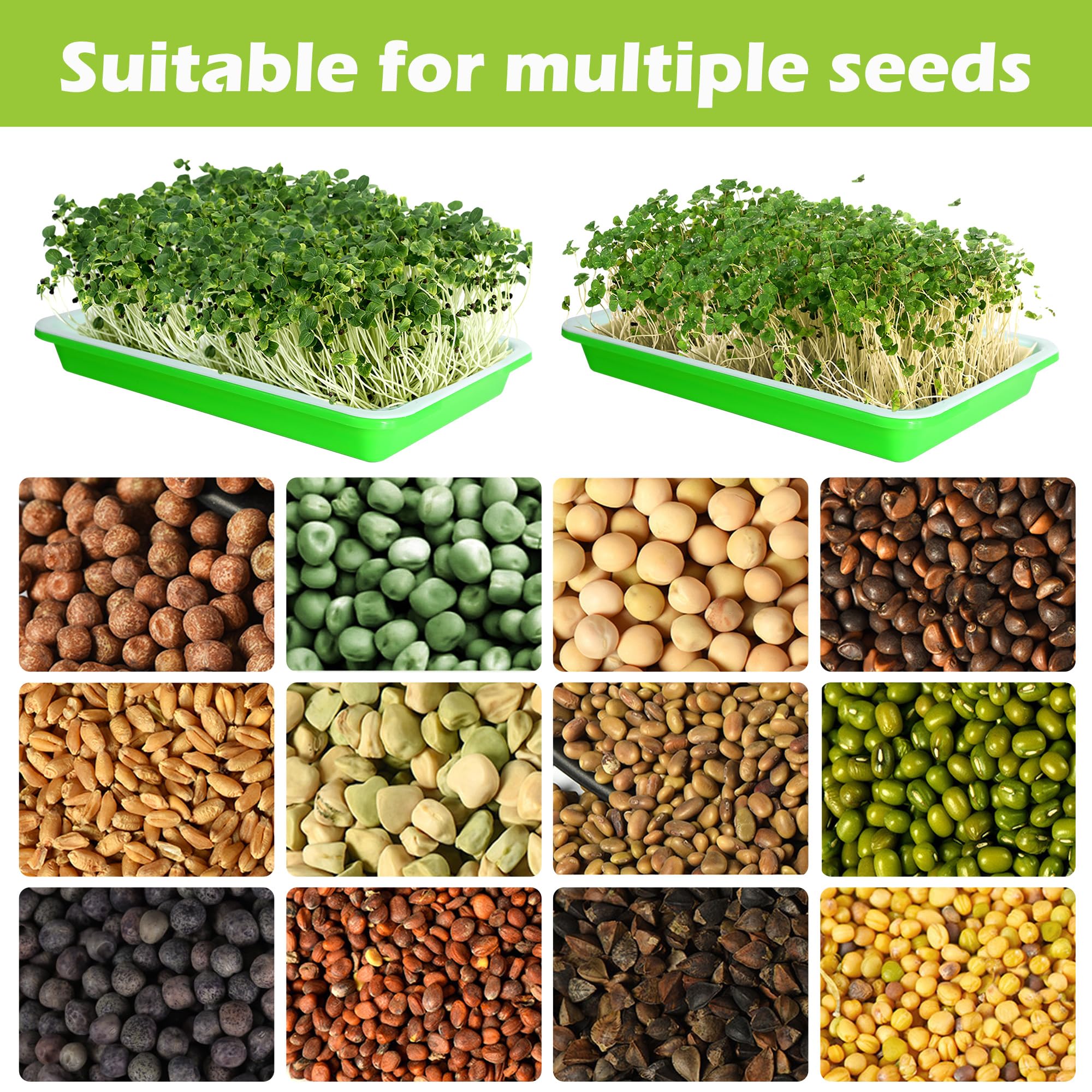 EBaokuup easy sprout guide helps beginners grow beans and greens at home