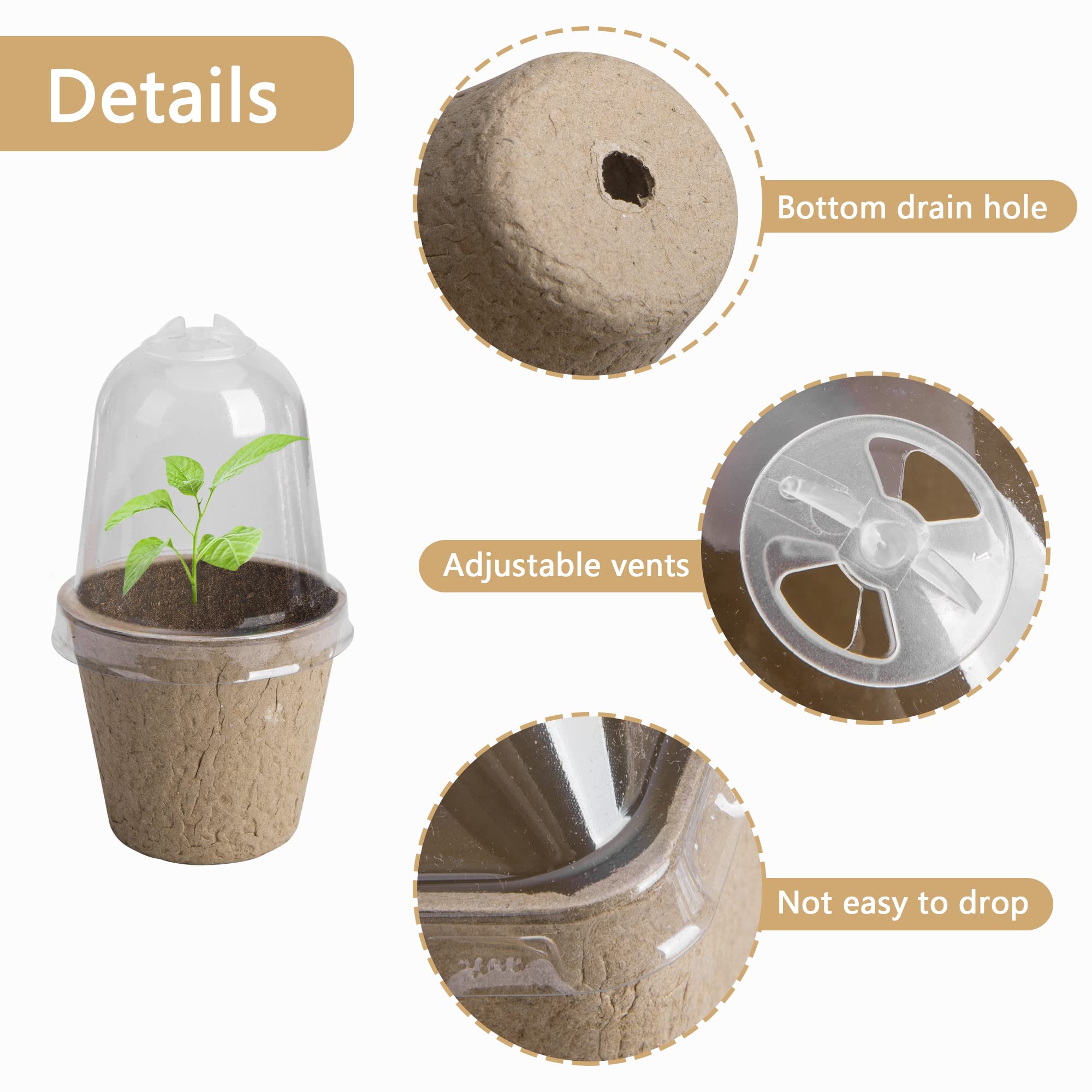 EBaokuup biodegradable pulp pots ideal for starting herbs and vegetables