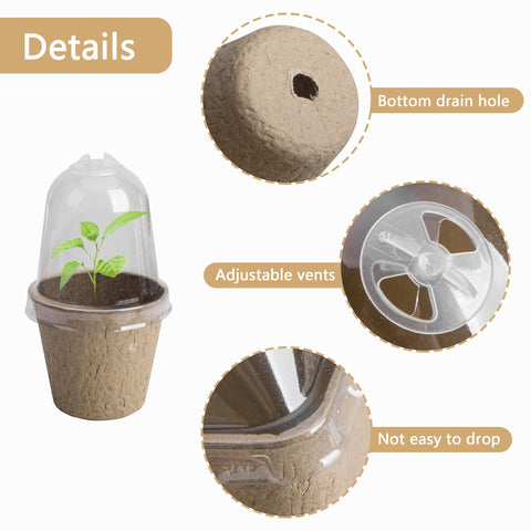 EBaokuup biodegradable pulp pots ideal for starting herbs and vegetables