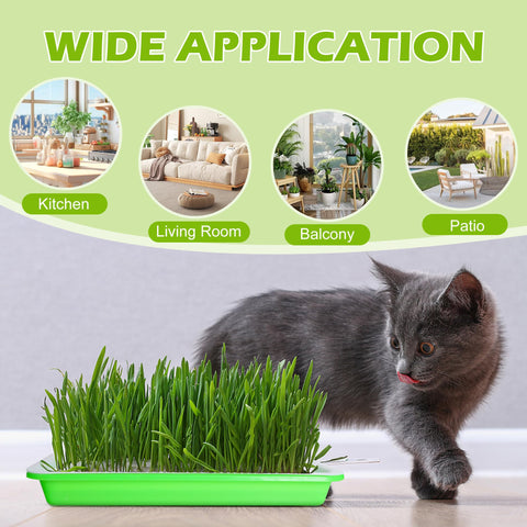 EBaokuup inner deck with water-saving tray improves airflow for faster sprouts