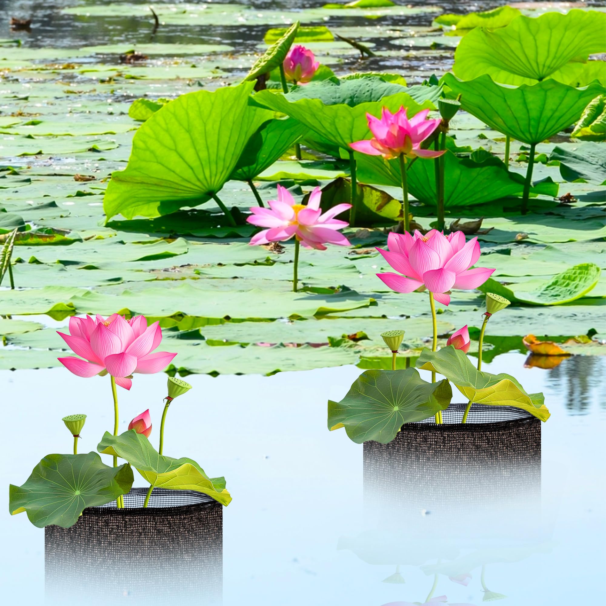 EBaokuup 1.4 gallon capacity pond pot ready for flexible planting