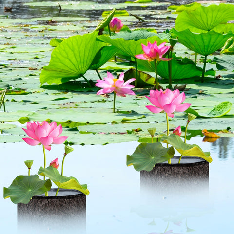 EBaokuup 1.4 gallon capacity pond pot ready for flexible planting