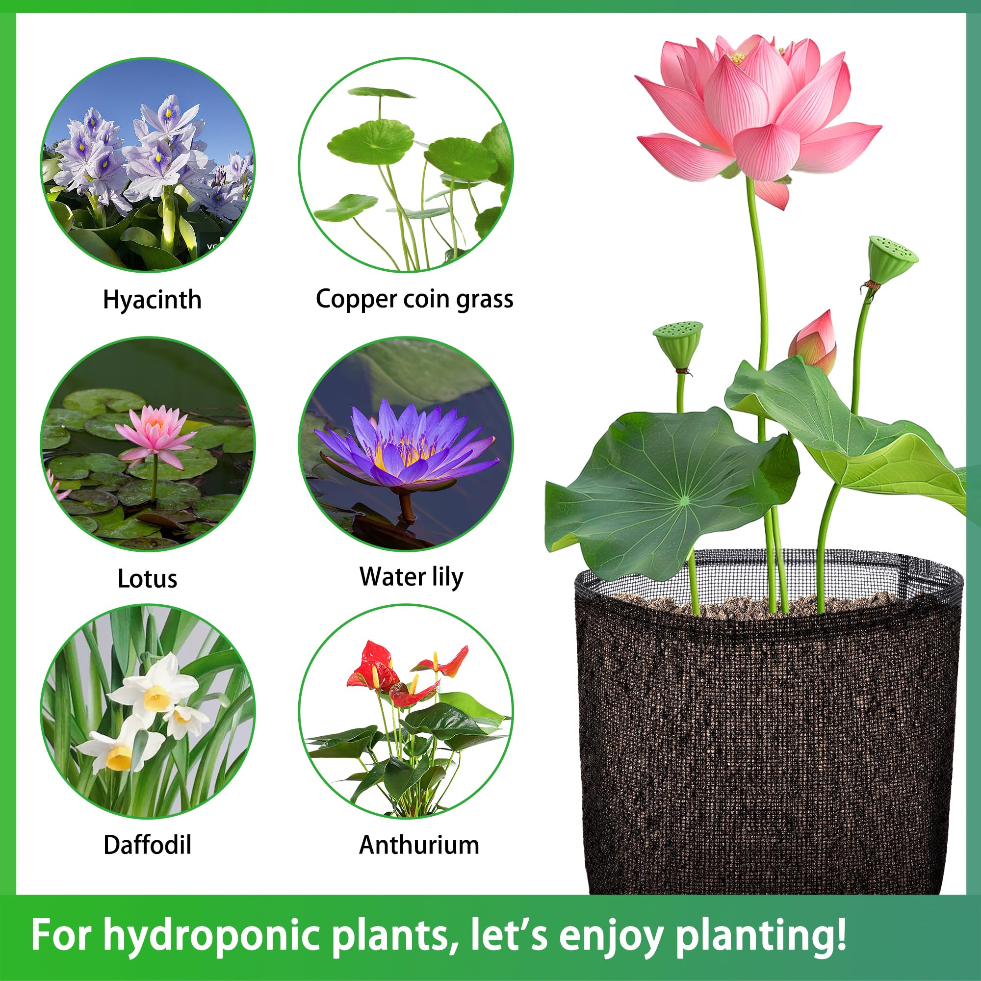 EBaokuup mesh pond pot designed for water garden versatility.