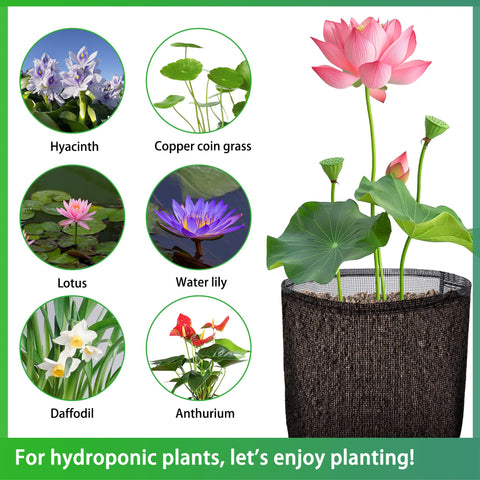 EBaokuup mesh pond pot designed for water garden versatility.