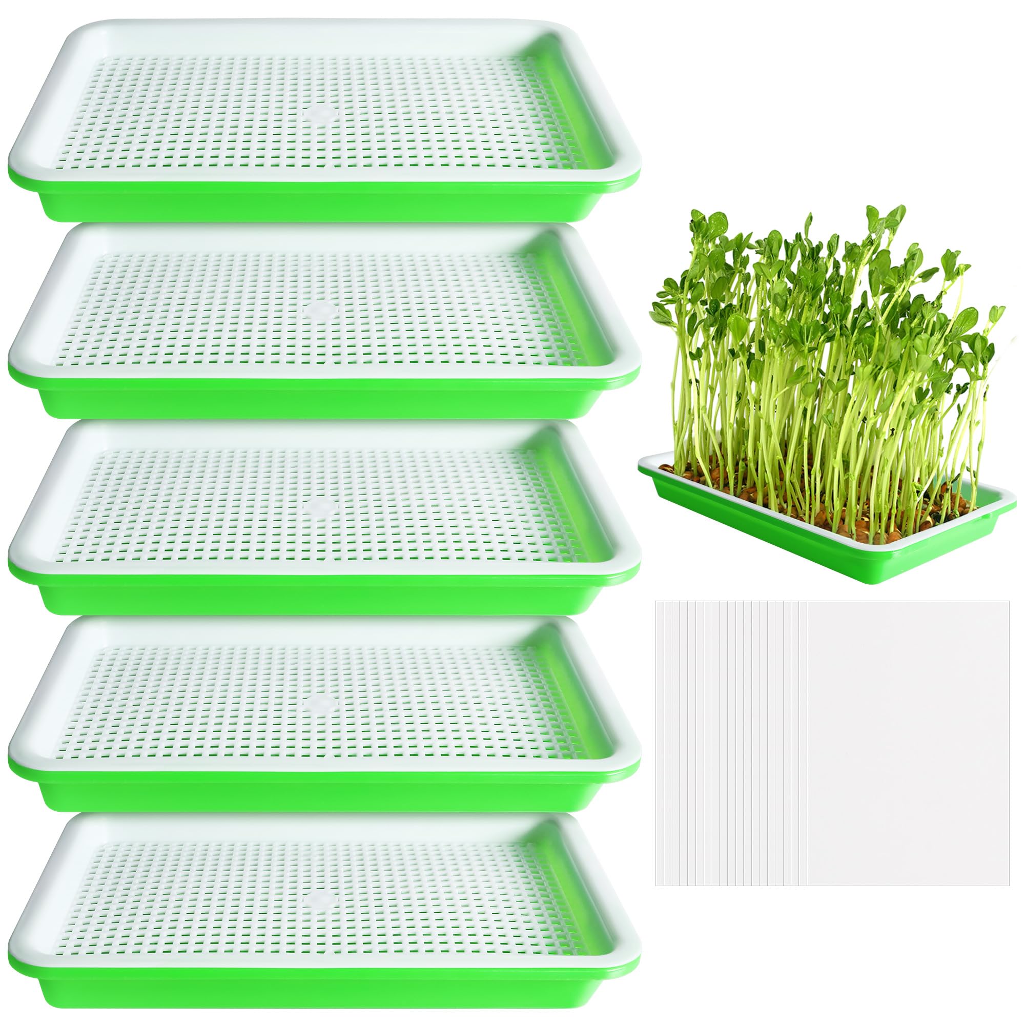 EBaokuup seed sprouter tray 5-pack for soil-free germination and quick sprouts
