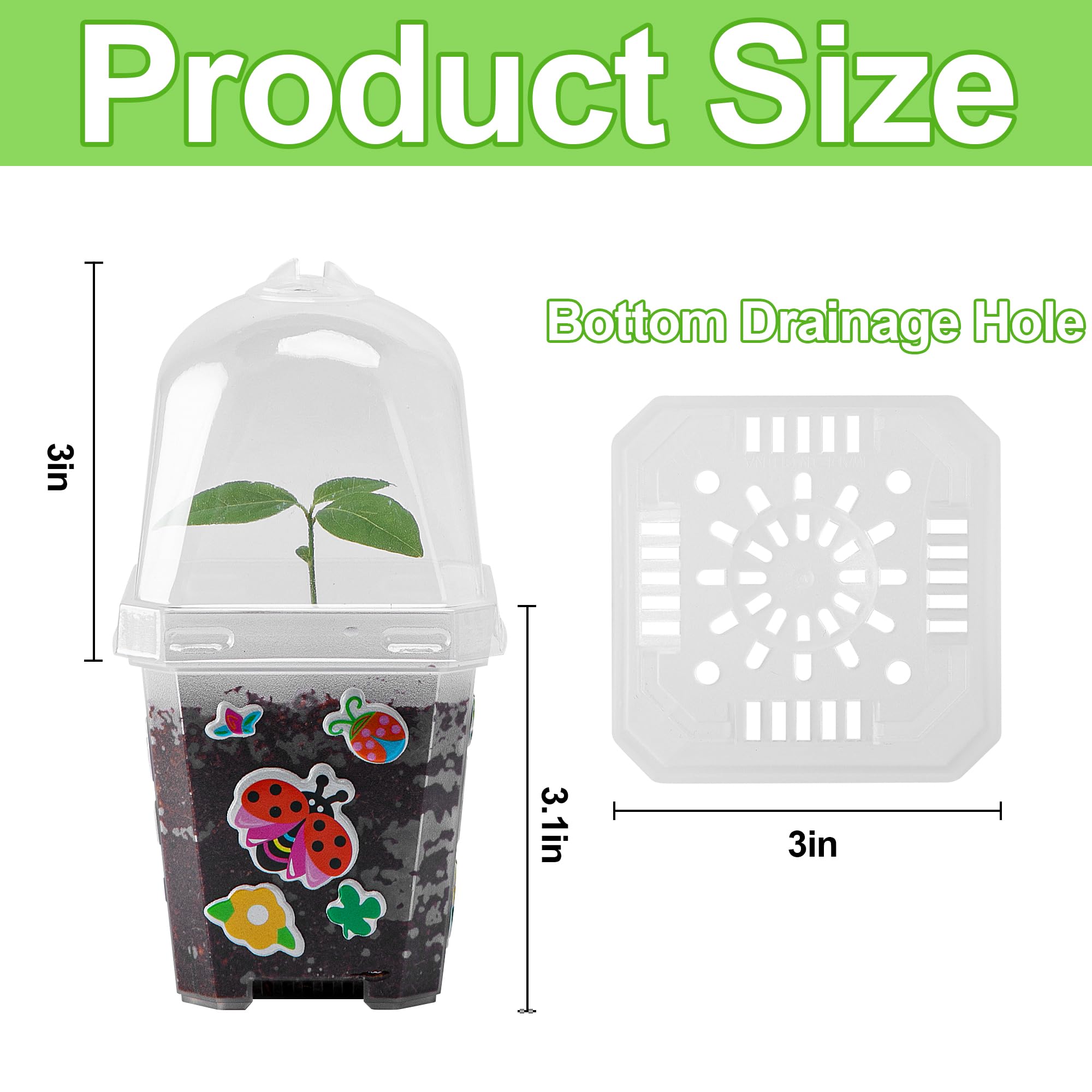 EBaokuup seed-start pot with printed labels for plant differentiation