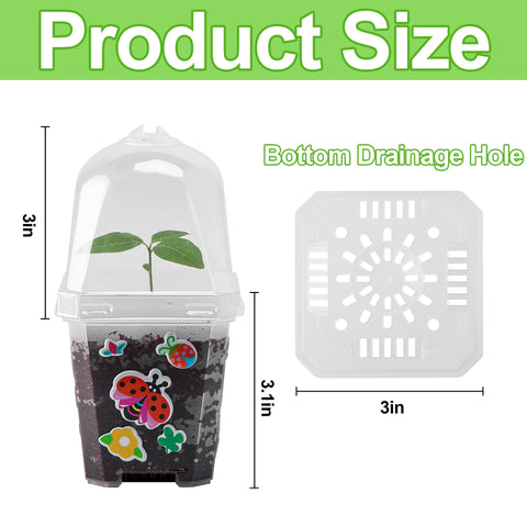 EBaokuup seed-start pot with printed labels for plant differentiation