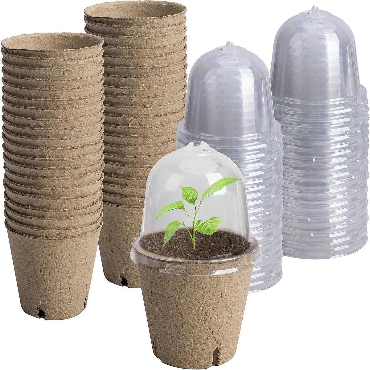 EBaokuup seeding pots with 3-1-inch opening diameter for easy transplanting.