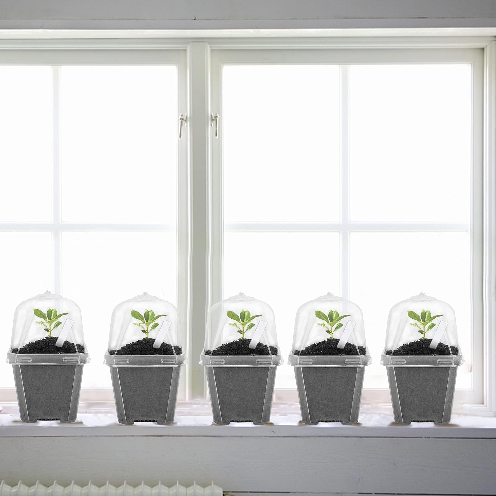EBaokuup transparent pot walls allow easy seed removal after germination