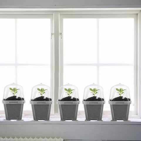 EBaokuup transparent pot walls allow easy seed removal after germination
