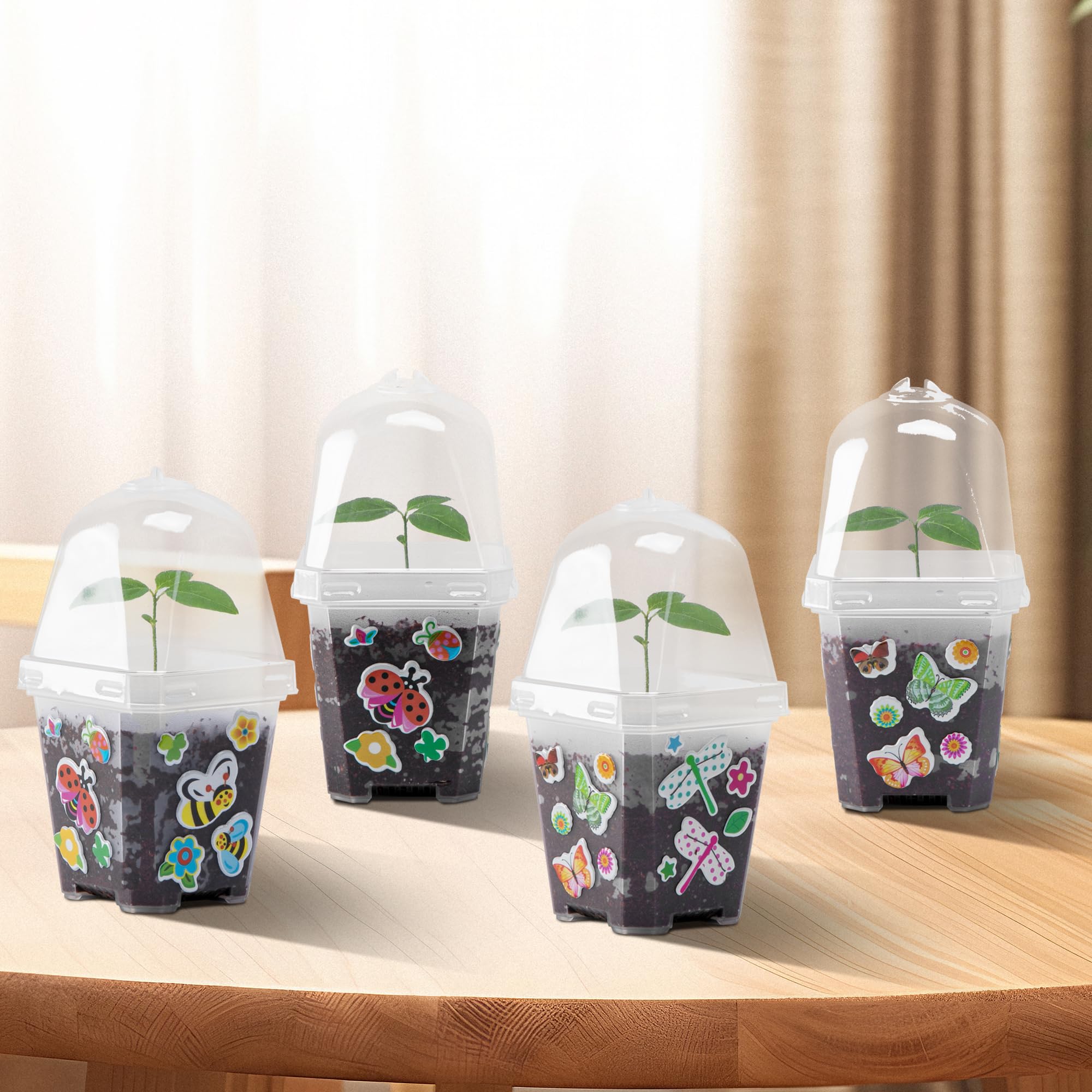 EBaokuup transparent seedling pot for easy growth monitoring