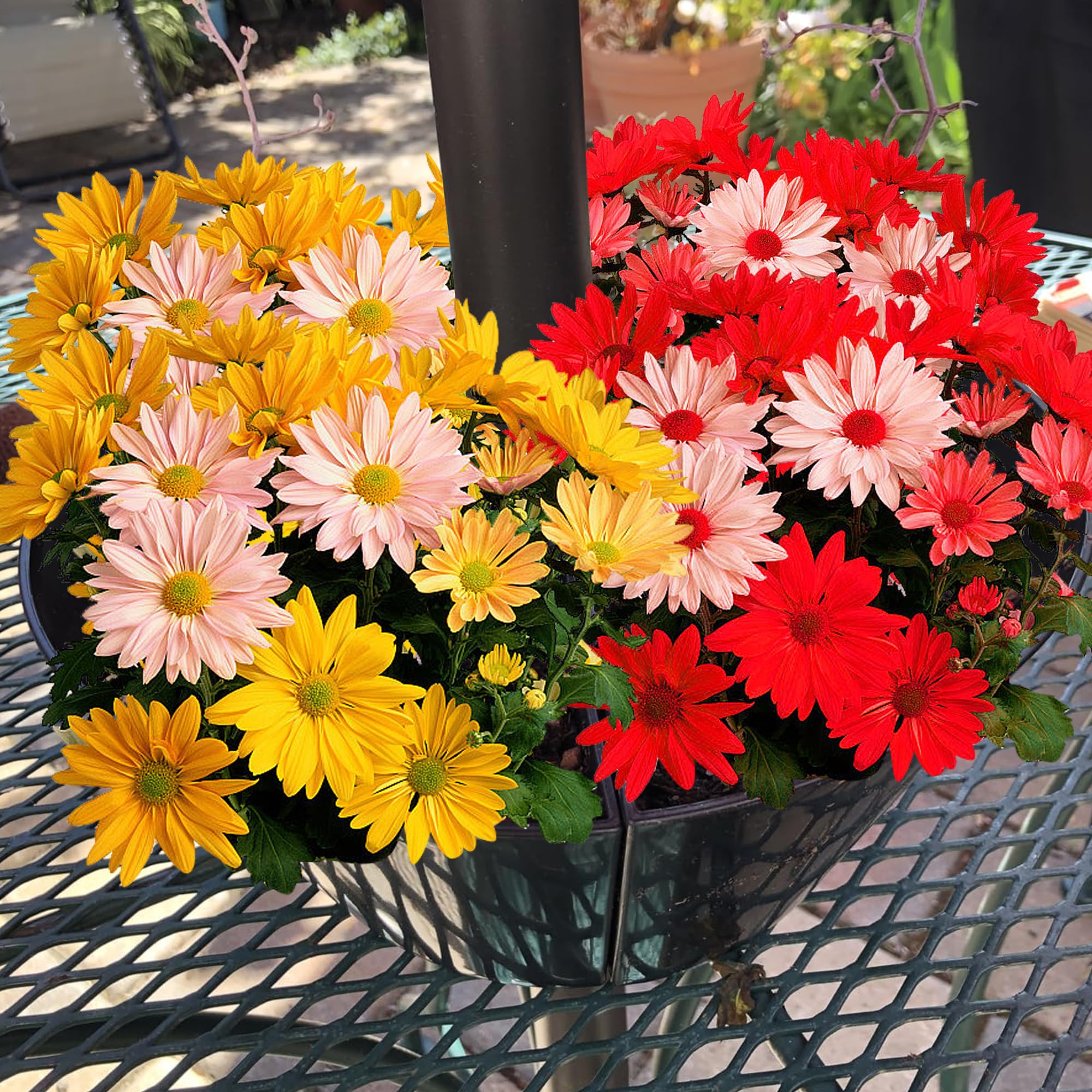 EBaokuup umbrella planter wide application doubles as a centerpiece for garden or patio