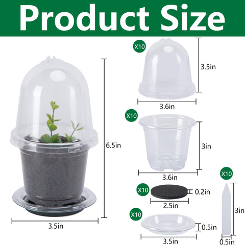 EBaokuup clear seedling pot showing root growth in BPA-free plastic