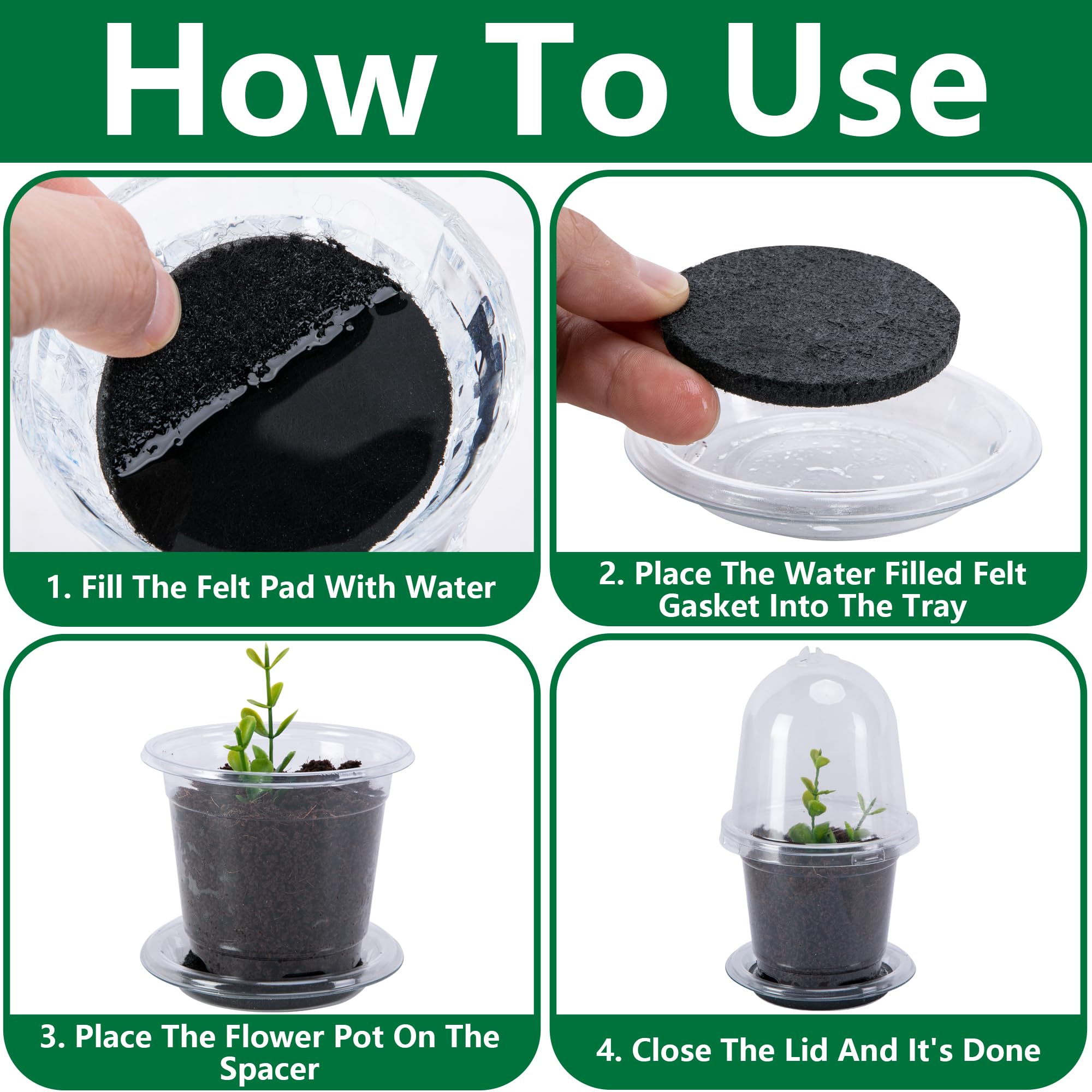 EBaokuup seedling pot base with included plant labels