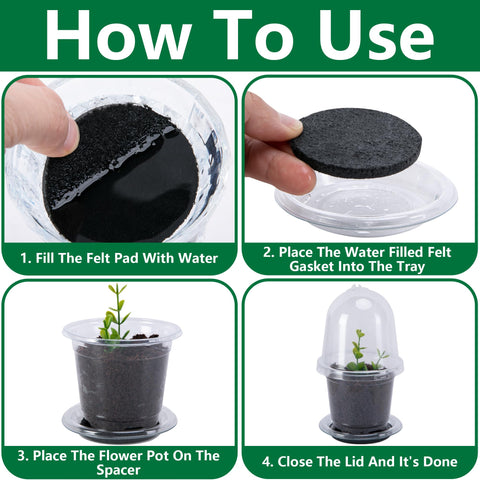 EBaokuup seedling pot base with included plant labels