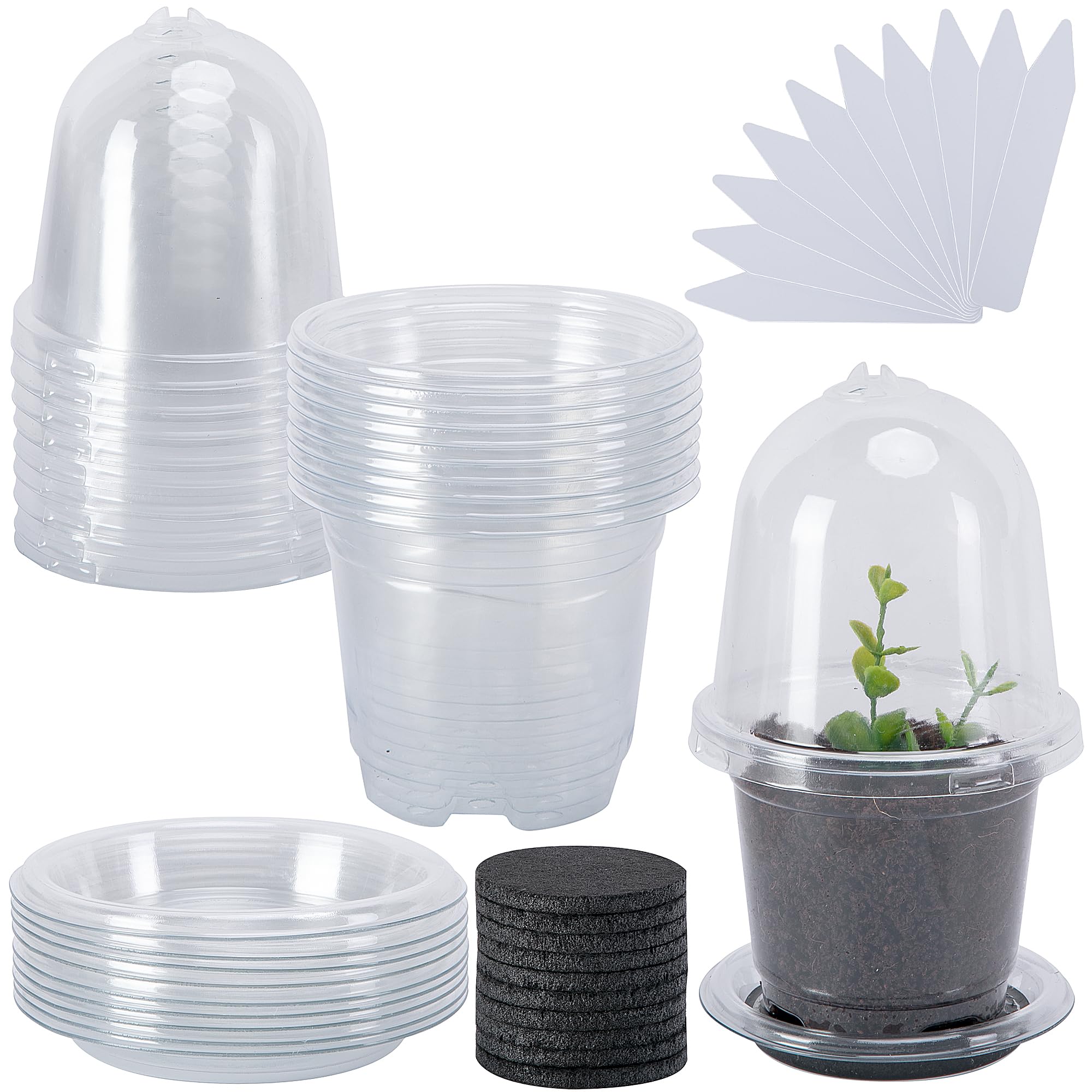 EBaokuup self-watering pot set with humidity dome for seed germination