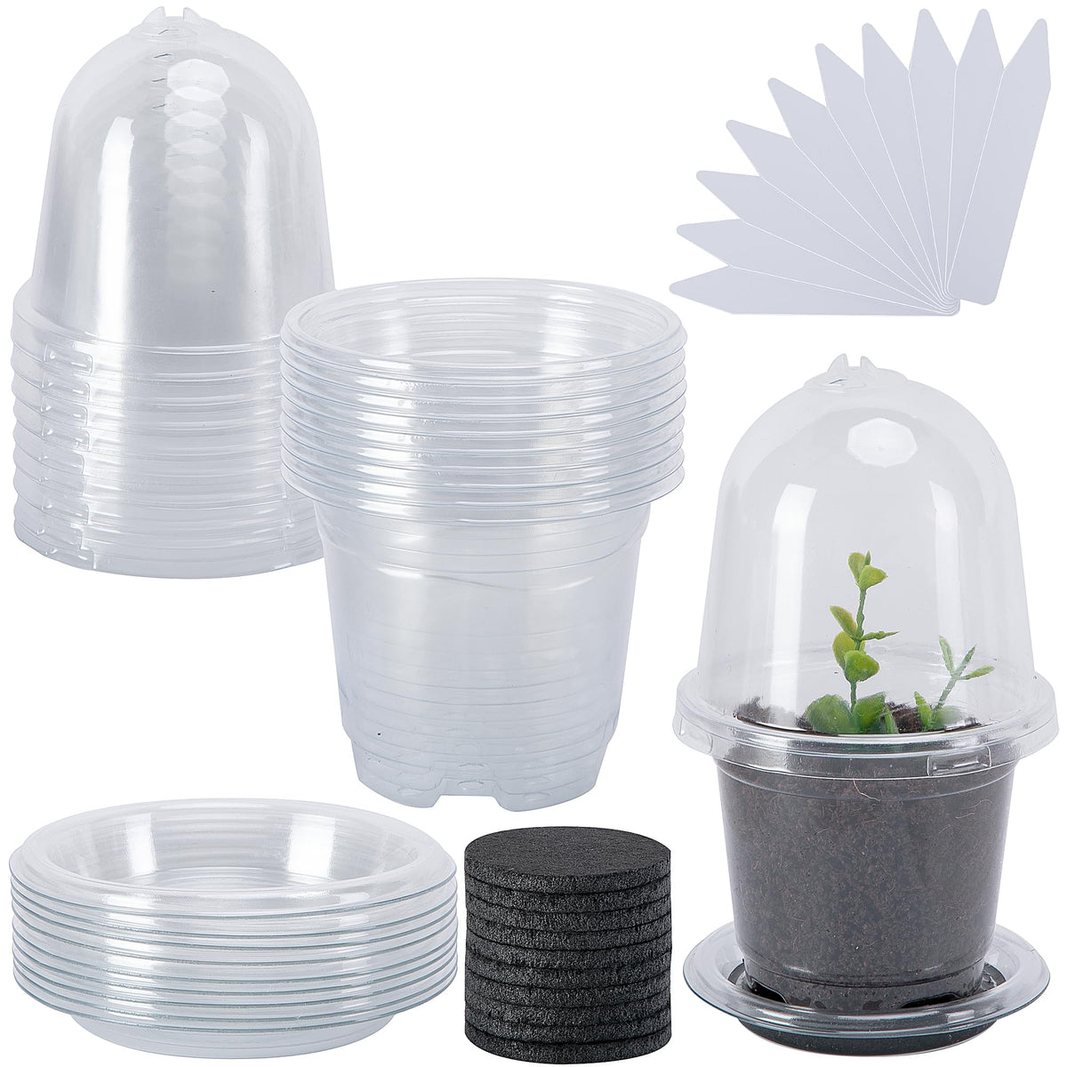 EBaokuup self-watering pot set with humidity dome for seed germination