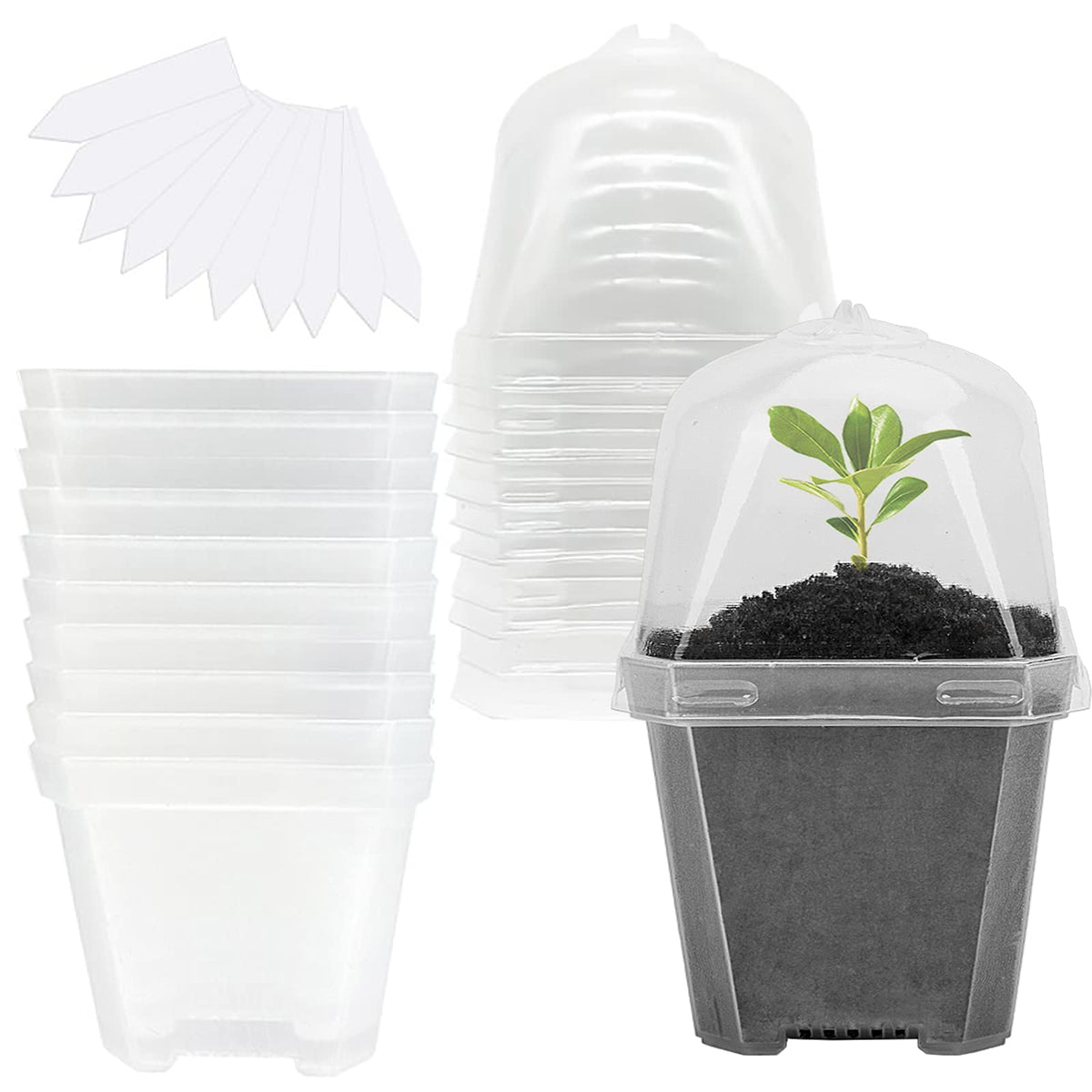 EBaokuup 4-inch clear nursery pot with humidity dome for seedling care.