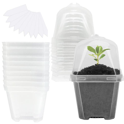 EBaokuup 4-inch clear nursery pot with humidity dome for seedling care.