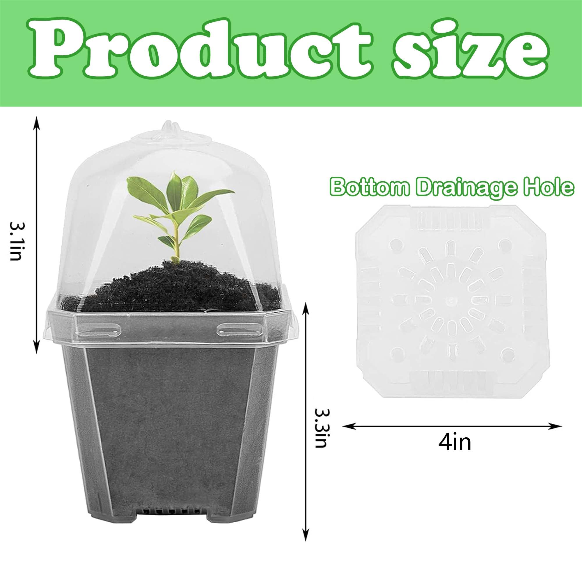 EBaokuup pot with drainage holes supports moisture balance and airflow.