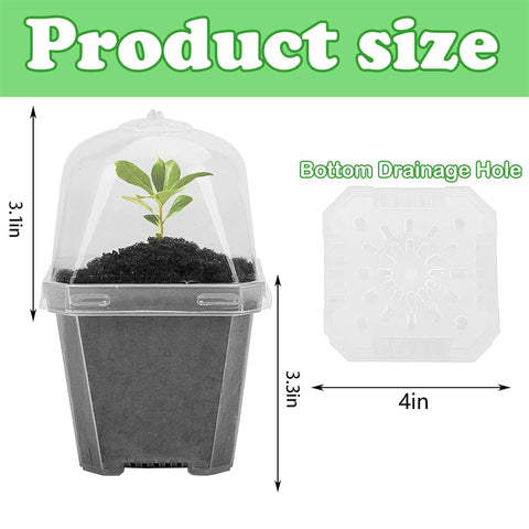 EBaokuup pot with drainage holes supports moisture balance and airflow.