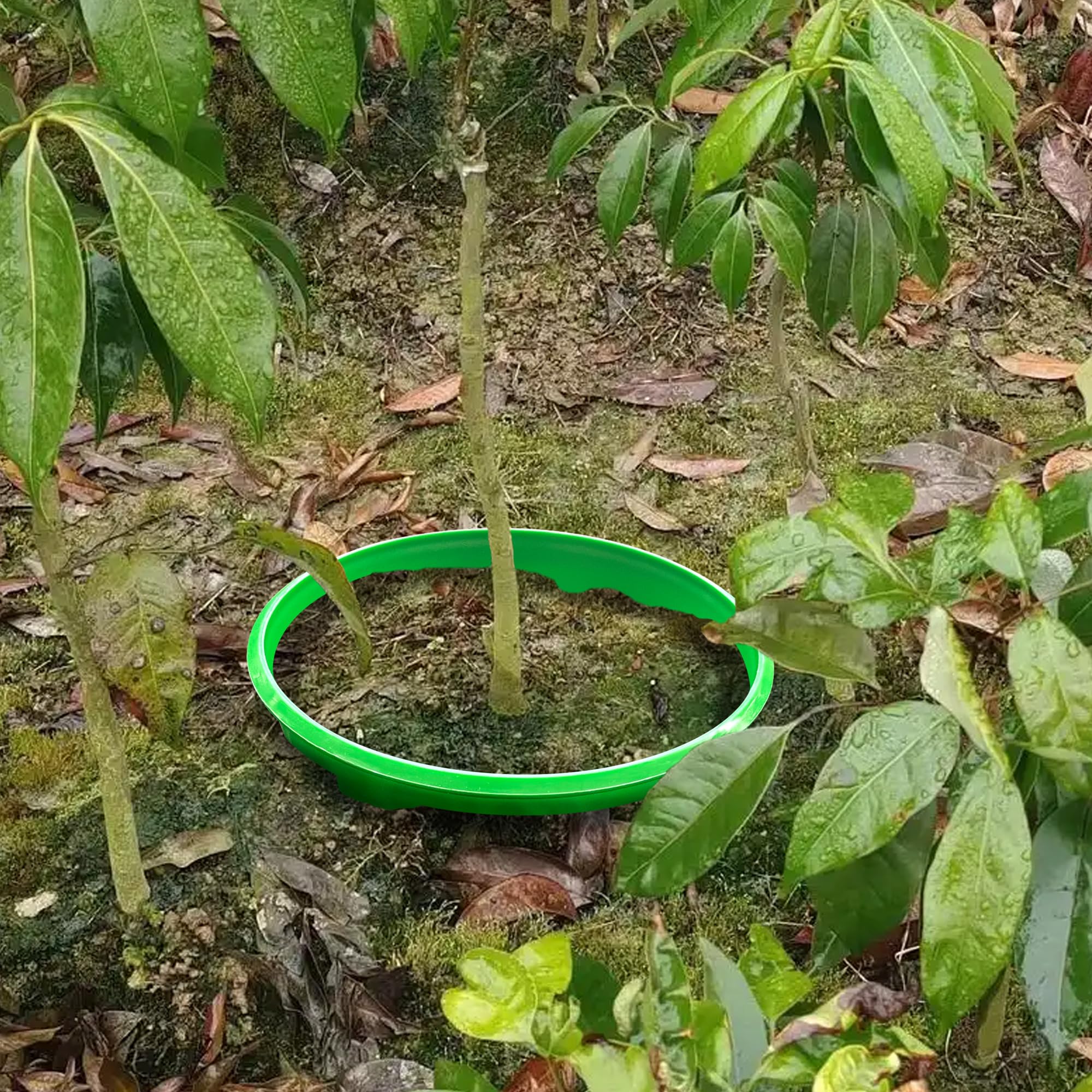 EBaokuup six-pack rings ready for garden planting flexibility