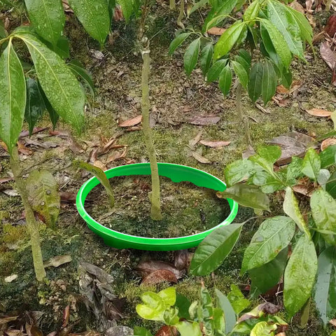 EBaokuup six-pack rings ready for garden planting flexibility