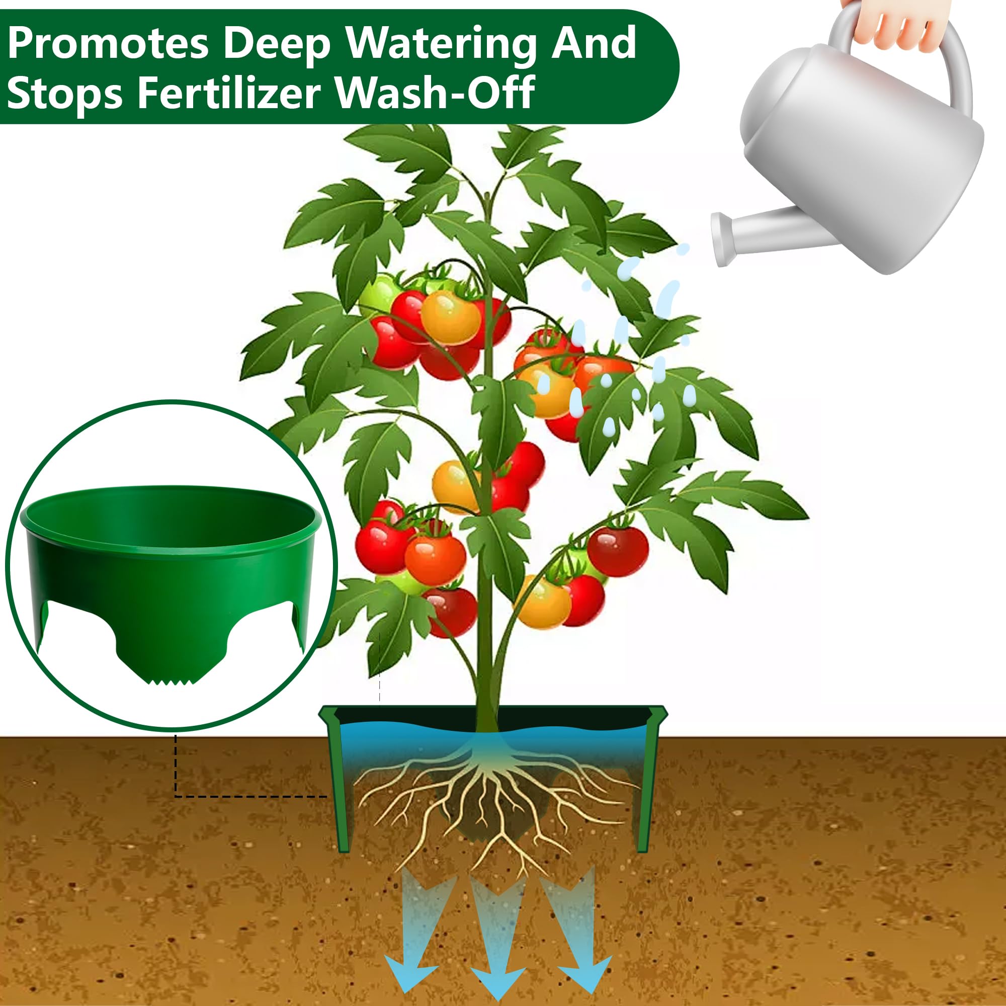 EBaokuup ring demonstrates water directing feature toward root zone