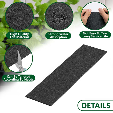 EBaokuup self-watering seed tray mats in use.