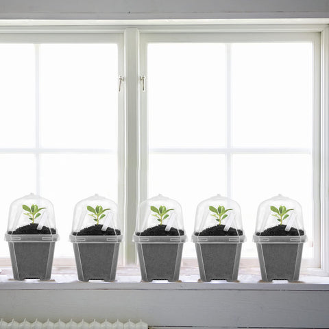 EBaokuup versatile pot for succulents, herbs, and vegetables.