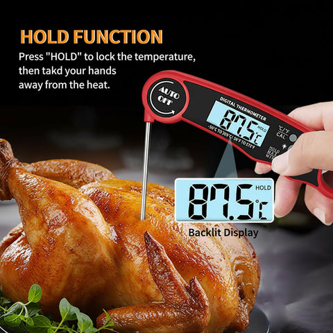 EBIEFLY thermometer in hand shows quick temperature checks.
