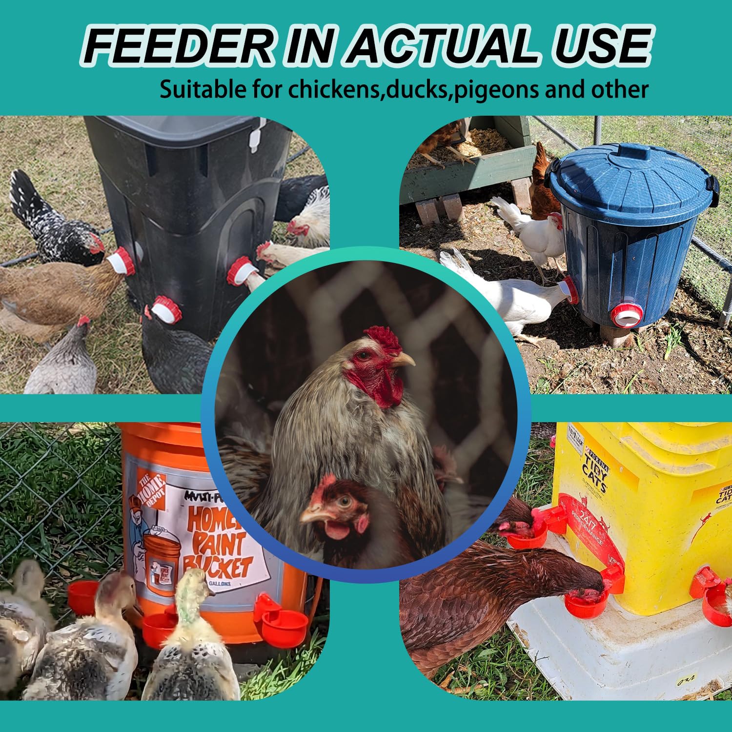 EBIUF chicken water cups leak-proof setup for clean, hydrated birds.