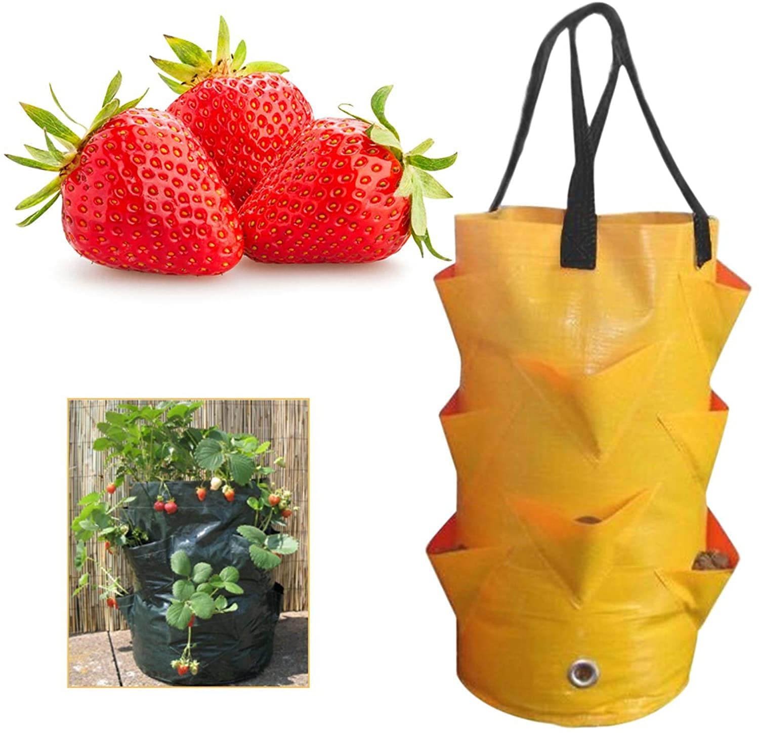 EBOCACB balcony garden use supports versatile planting for vegetables, herbs, and flowers.