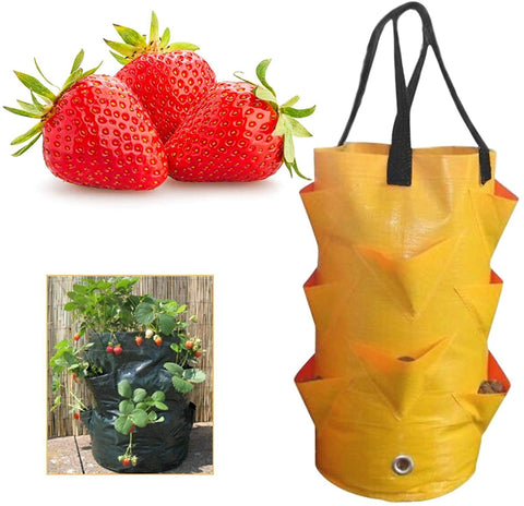 EBOCACB balcony garden use supports versatile planting for vegetables, herbs, and flowers.