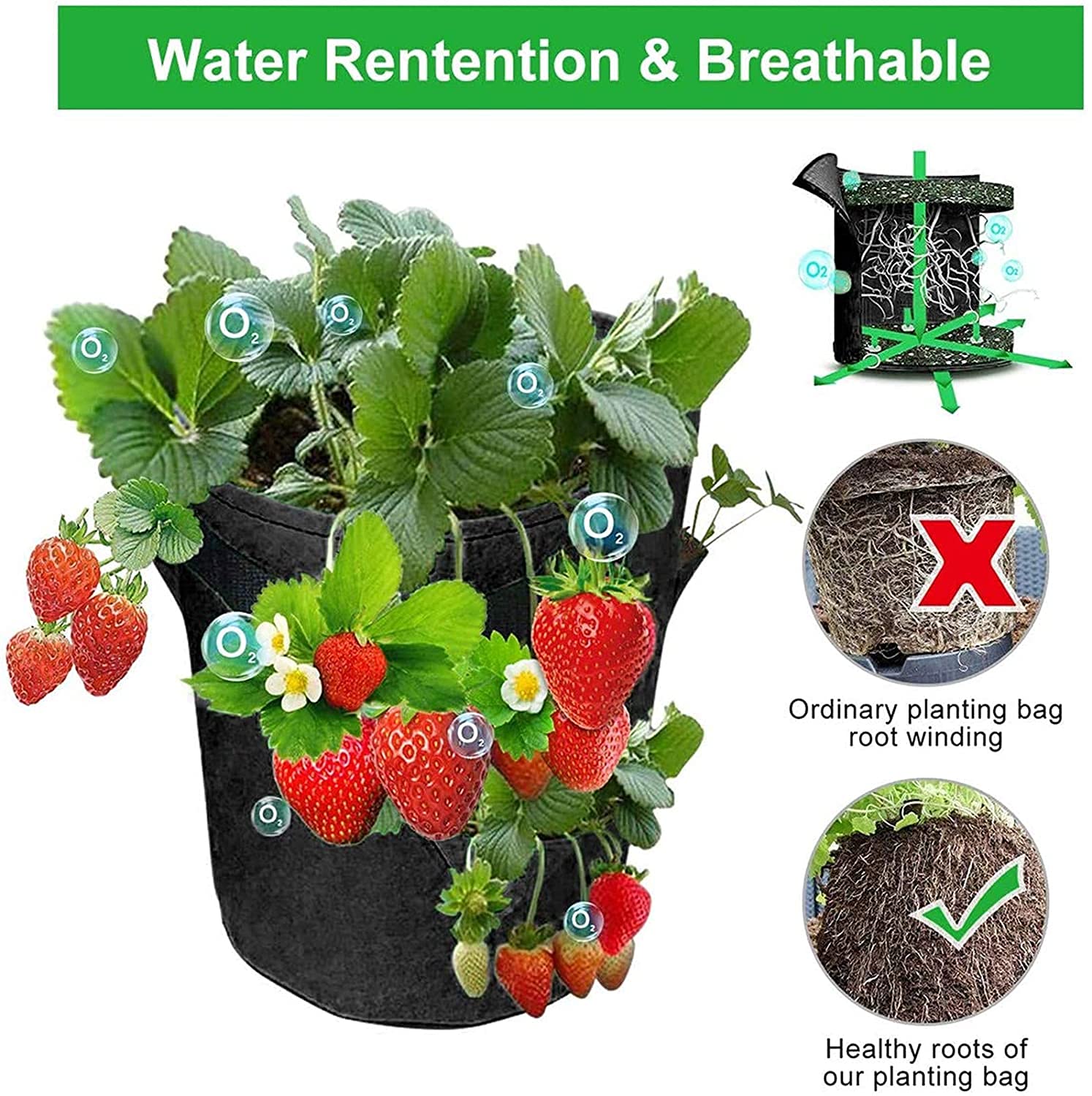 EBOCACB durable PE plastic container supports repeated use and long-lasting performance.