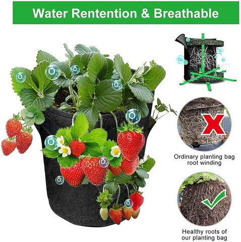 EBOCACB durable PE plastic container supports repeated use and long-lasting performance.