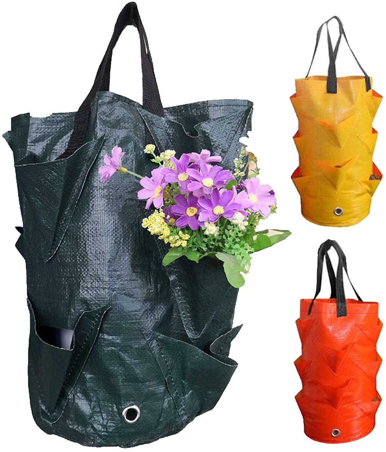 EBOCACB indoor-outdoor gardening design keeps plants accessible and flexible.