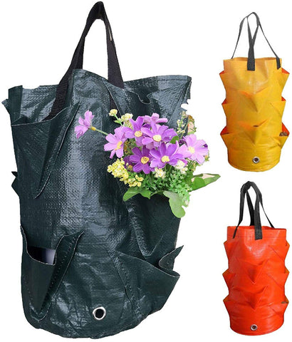 EBOCACB indoor-outdoor gardening design keeps plants accessible and flexible.
