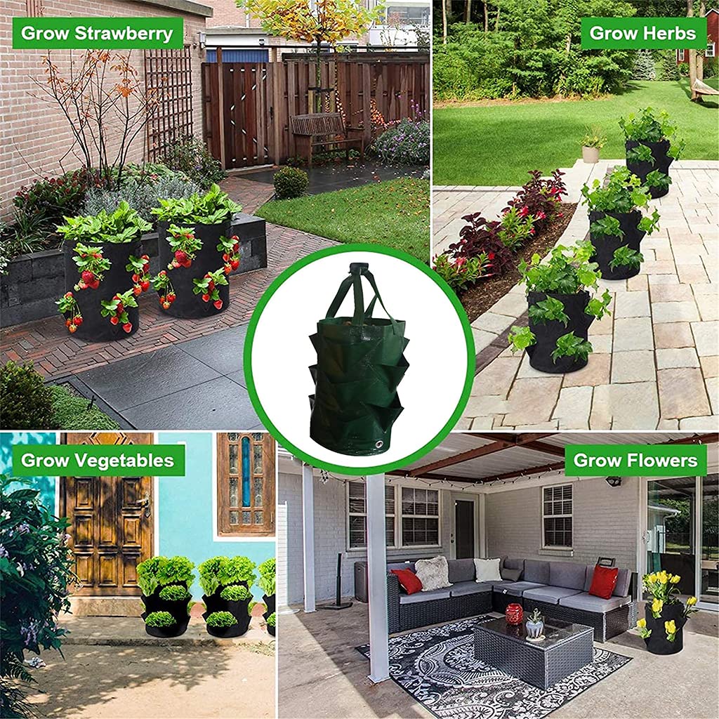 EBOCACB pockets enable seed planting directly after ripening for quick setup.