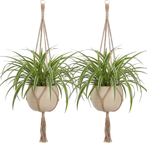 EBOOT macrame plant hanger with top ring for easy ceiling hanging.
