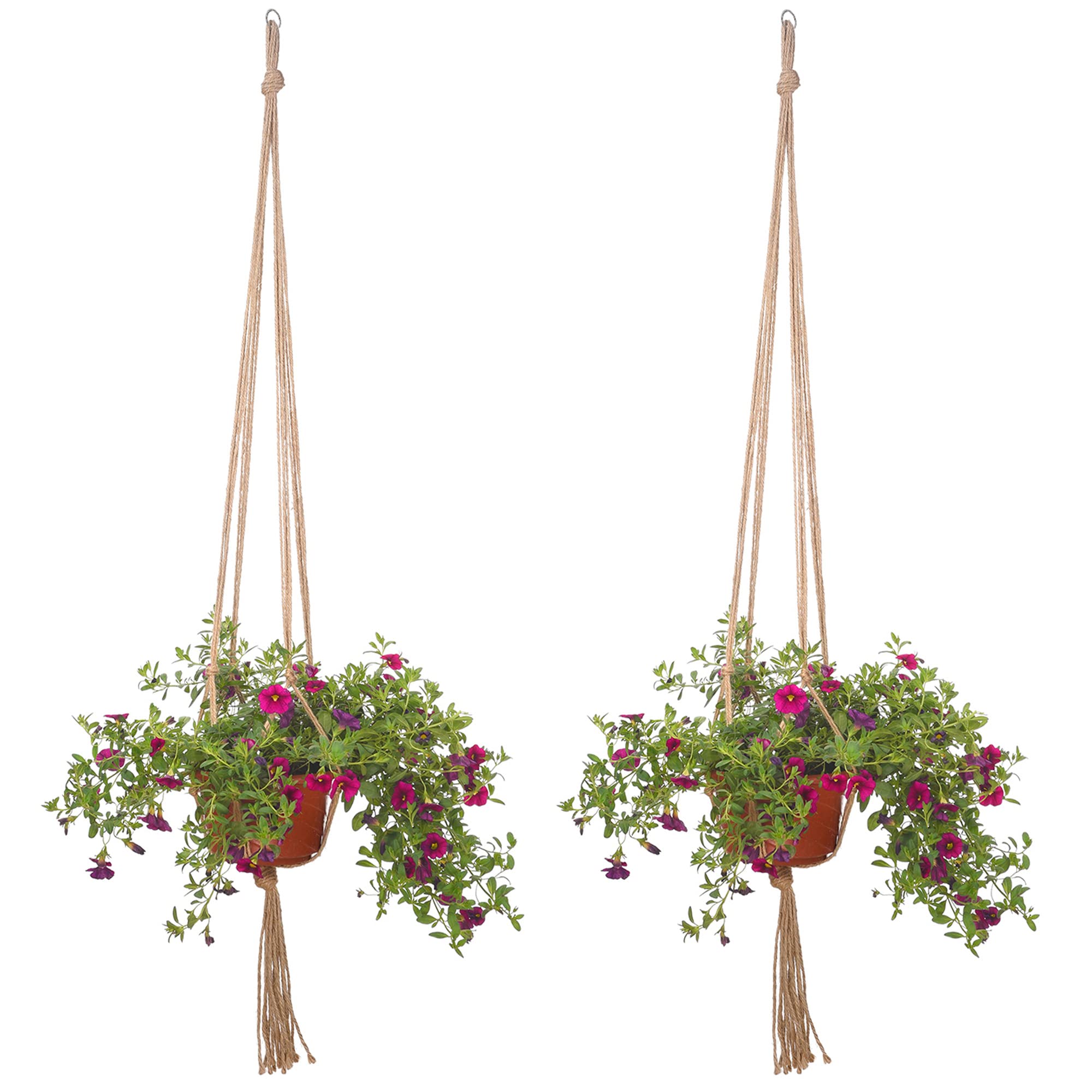 Austere style complements diverse decor without overpowering pots.