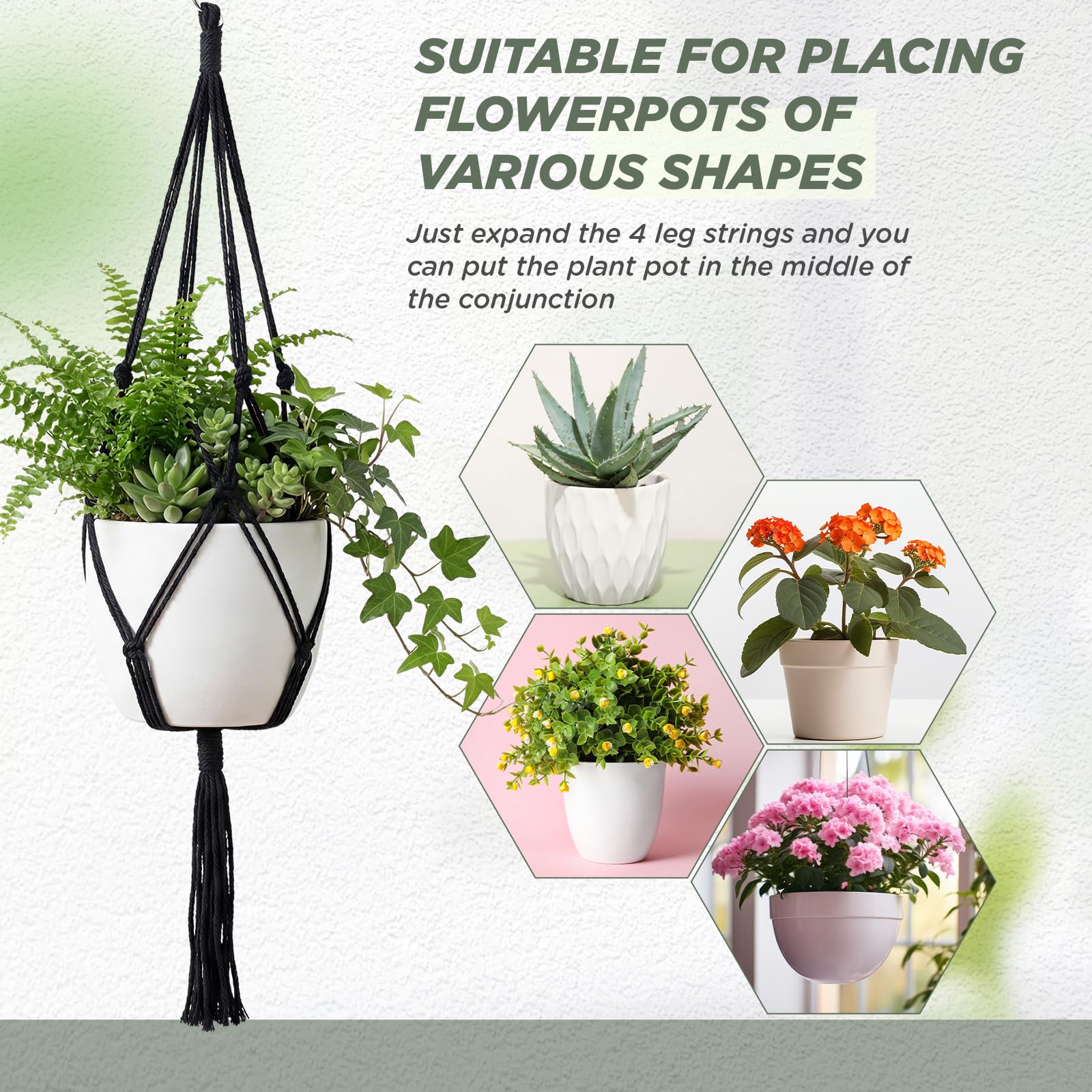 EBOOT austere style plant hanger blends with modern or classic decor.