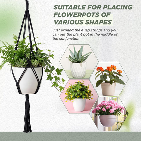 EBOOT austere style plant hanger blends with modern or classic decor.